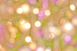 Photography Backdrops Photography Backdrops