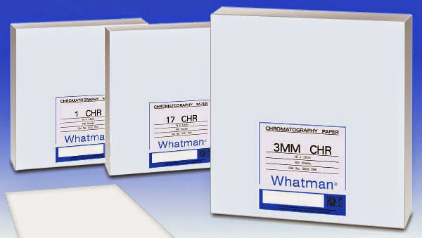 Whatman blotting paper 色層分析濾紙