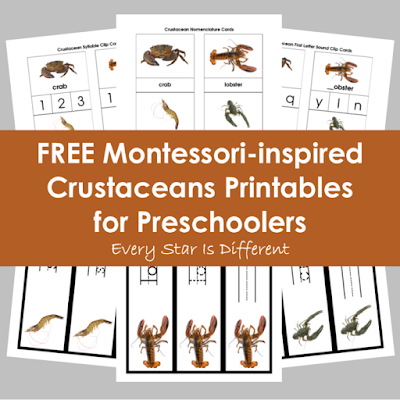 FREE Montessori-inspired Crustaceans Printables for Preschoolers