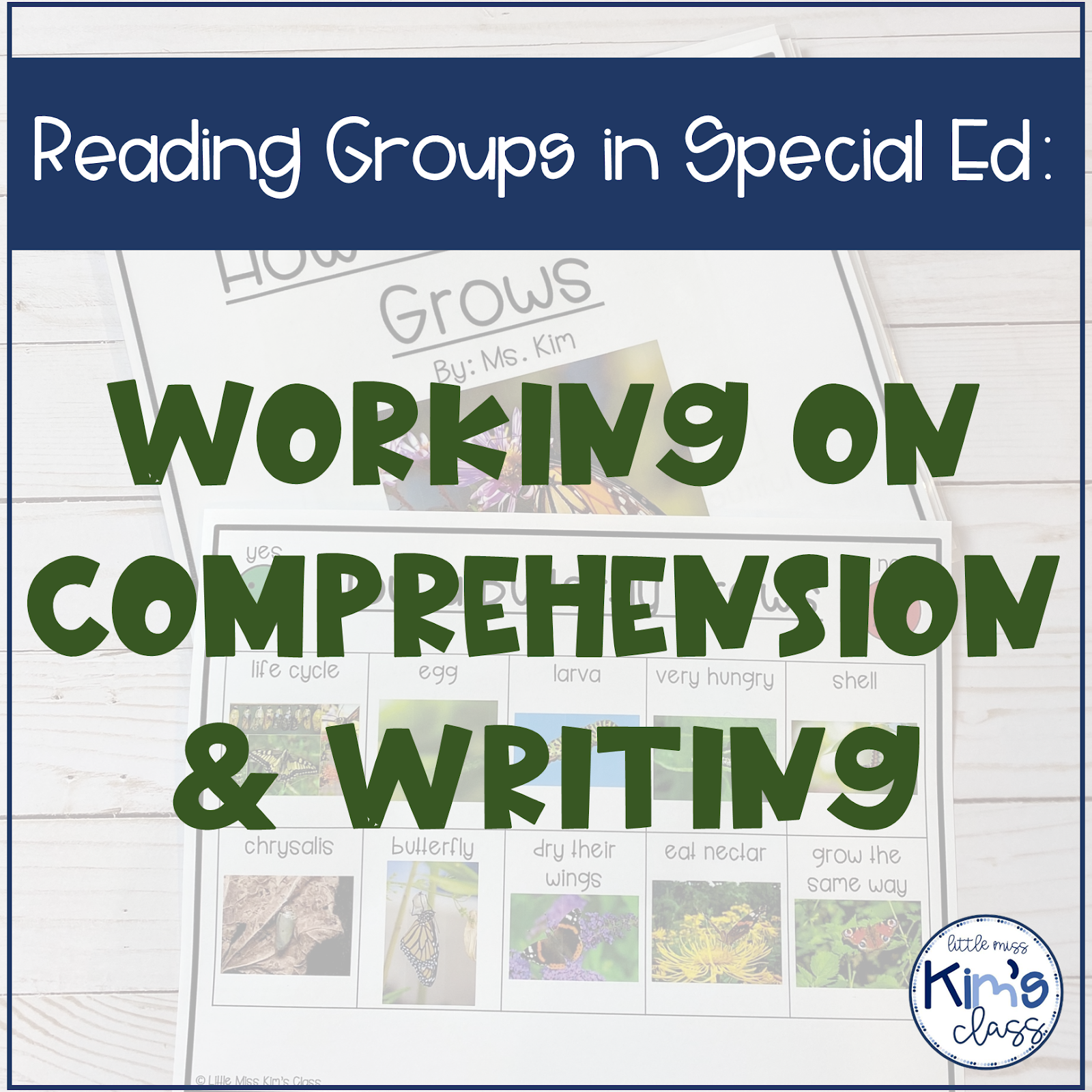 Little Miss Kim's Class: Reading Groups In Special Education - Little Miss Kim's Class: Reading Groups In Special Education