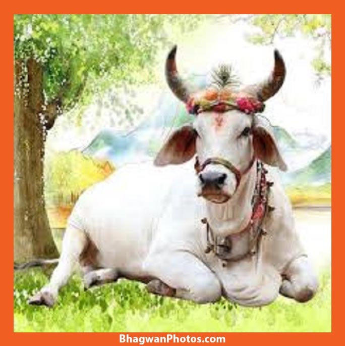 White Marble Gau Mata Statues For Worship Size 30inch