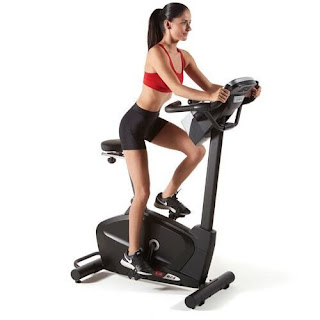 Sole B74 Upright Exercise Bike, image, review features & specifications