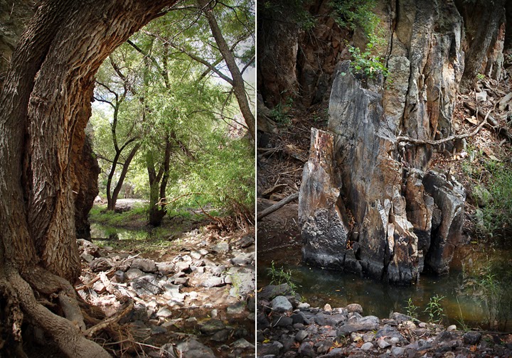 The Spaghetti Blog Pena Blanca Canyon Trail