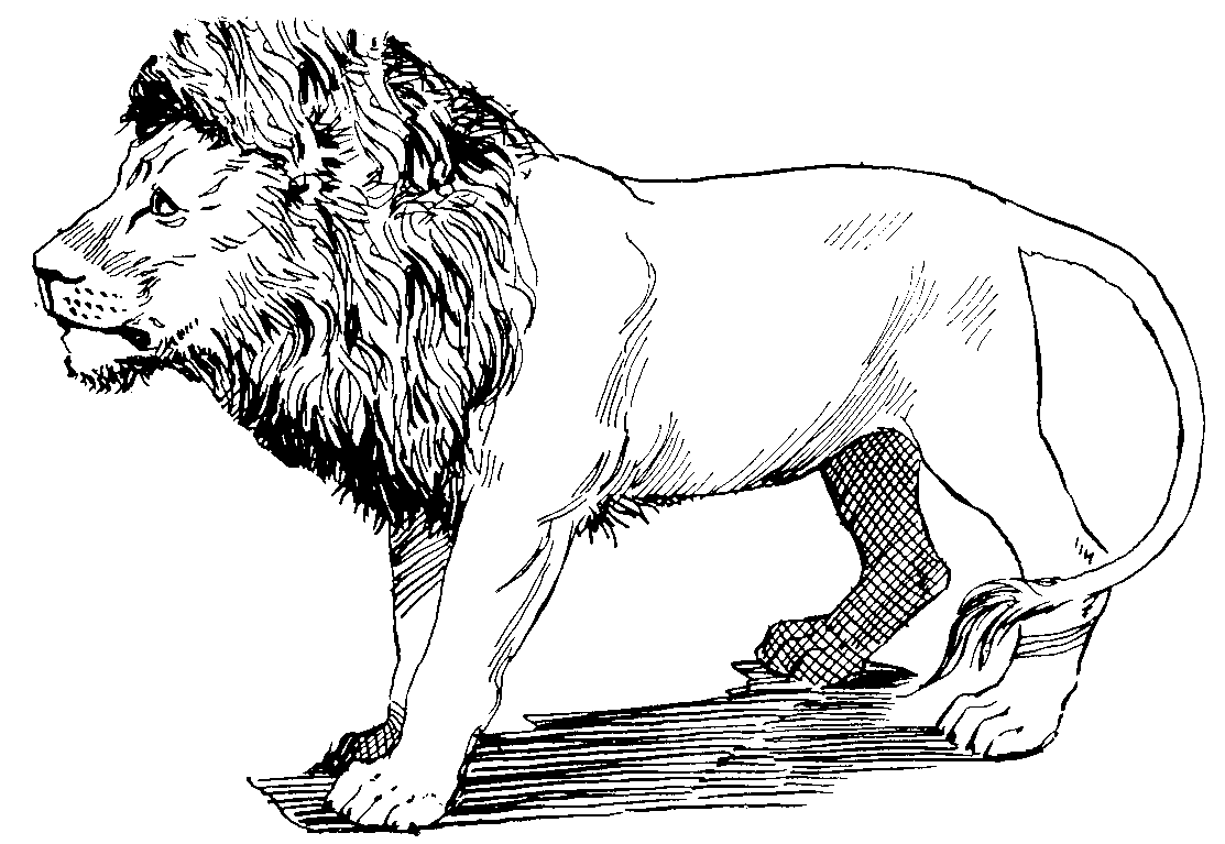 clipart black and white lion - photo #38