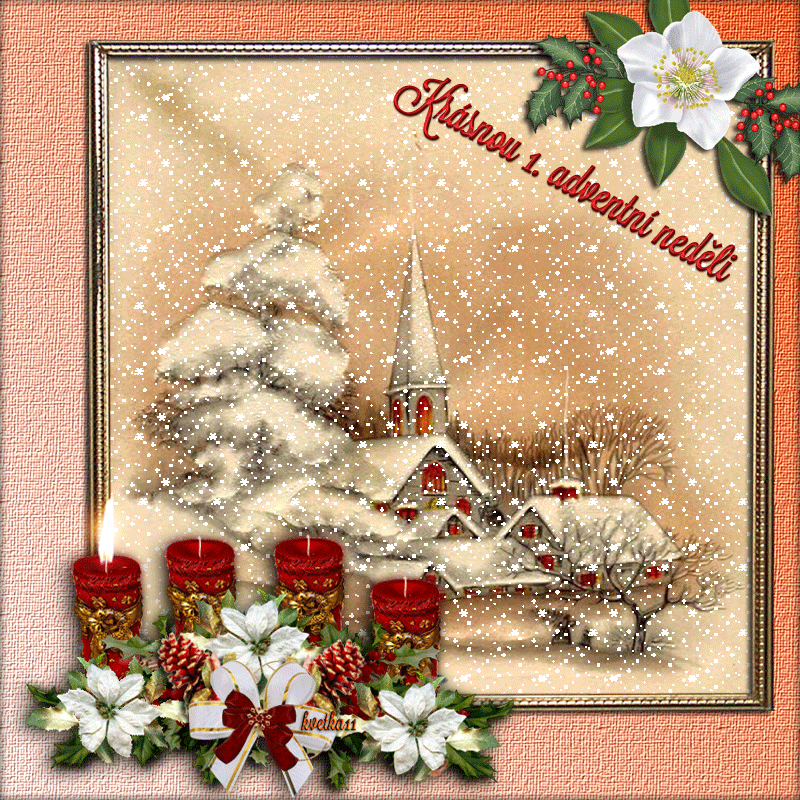kvetka11 Krásnou 1.adventní neděli