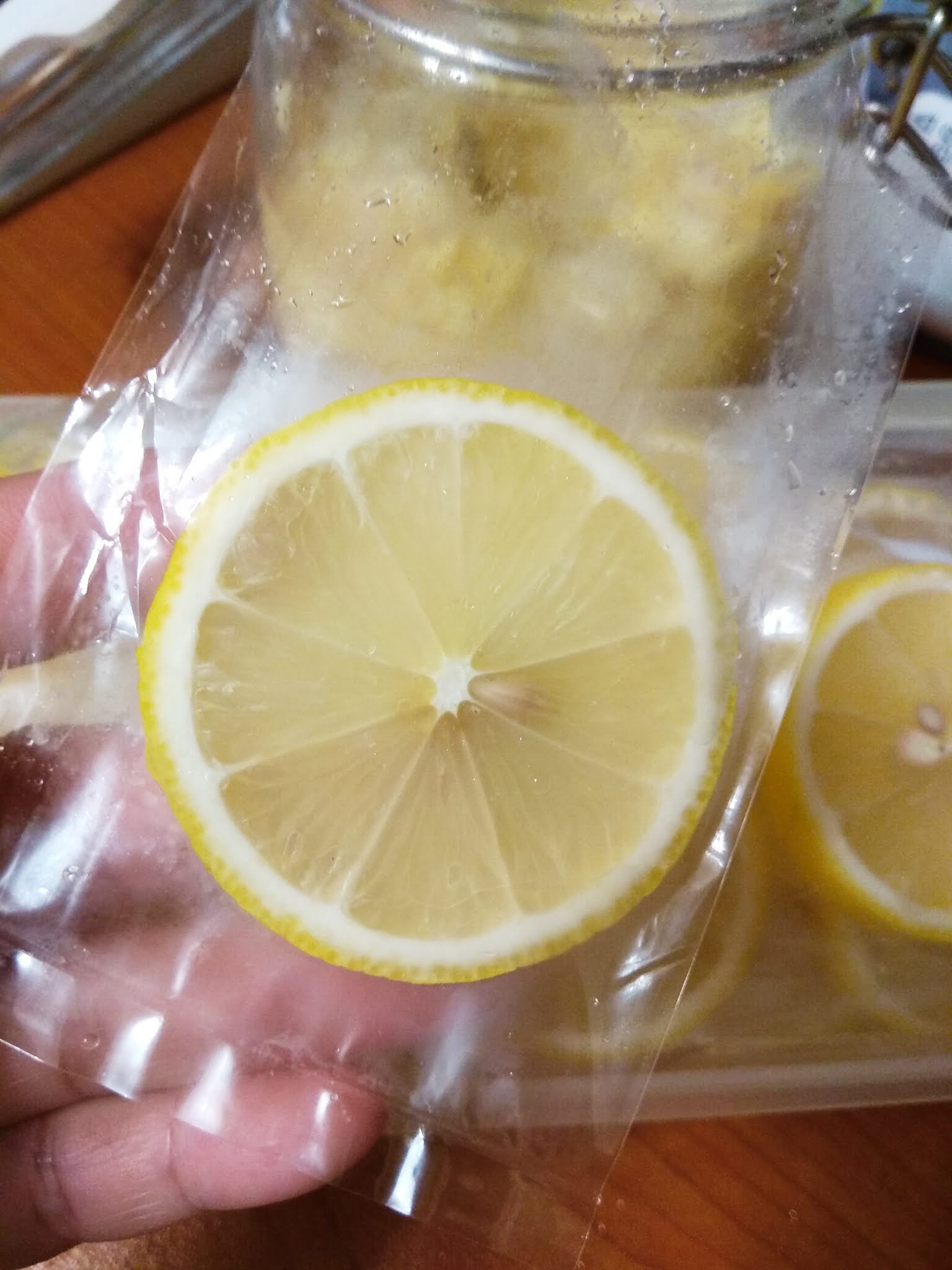 Elinluv's Tidbits Corner How To Freeze Lemon