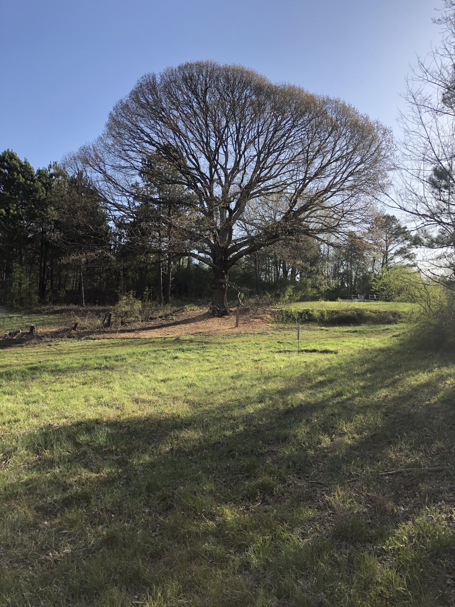 Green Meadows Preserve Blue Bird Trail