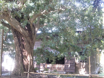 ��������C�k�}�L