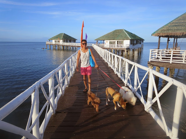 Stilts Calatagan A Touch Of Tranquility In Calatagan Batangas