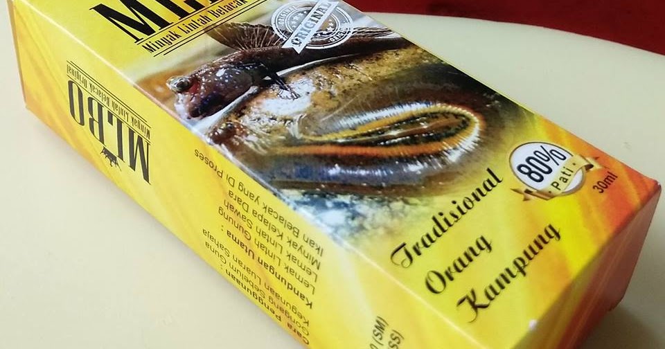 Minyak Lintah Belacak Original Apa itu MLBO???