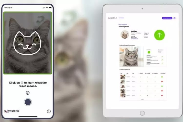 Tably, Aplikasi yang Bisa Baca Perasaan Kucing Bahagia Atau Tidak Tably, Aplikasi yang Bisa Baca Perasaan Kucing Bahagia Atau Tidak