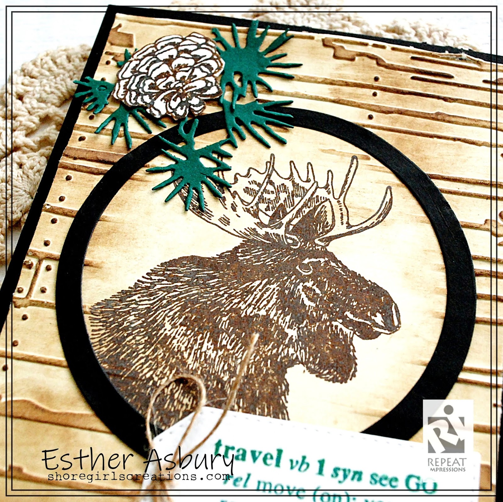 Shoregirl's Creations DIY Embossing Diffuser