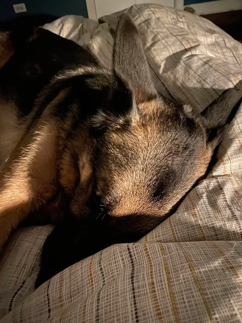 Finn cuddling at bedtime