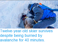 https://sciencythoughts.blogspot.com/2018/12/twelve-year-old-skier-survives-despite.html