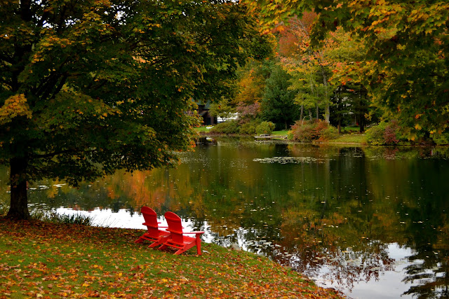 Осінь у Вермонті (Vermont Fall Foliage)