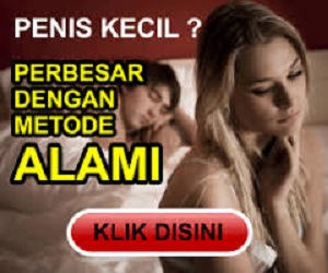 obat pembesar penis