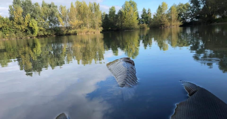 Hotel Traube Tonbach Im Schwarzwald Unterwegs In Baiersbronn