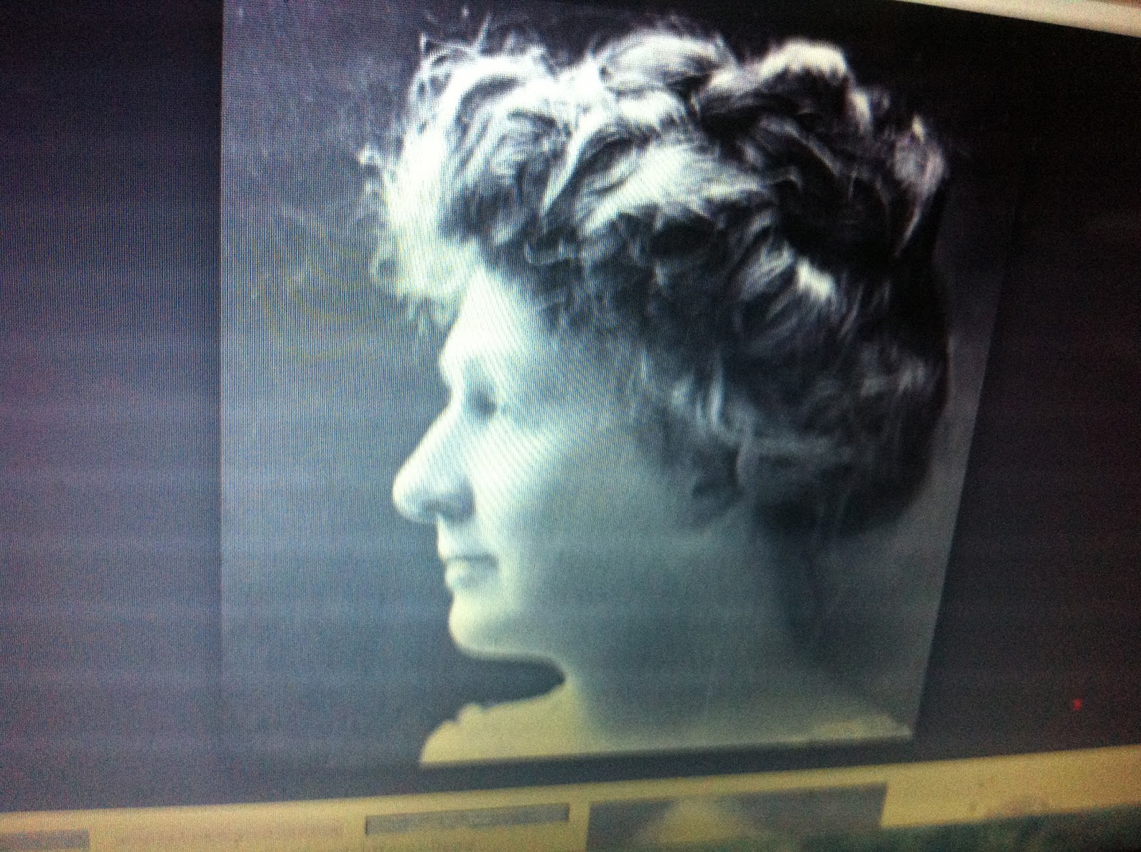 THE BLACK SOCIAL HISTORY BLACK SOCIAL HISTORY AMERICAN 