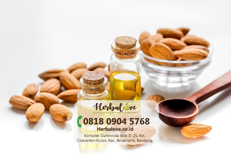 supplier minyak almond Pati” height=