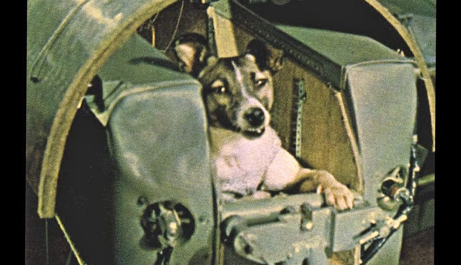 Fieggentrio De eerste hond in de ruimte. Hoe is het hem vergaan? Fieggentrio De eerste hond in de ruimte. Hoe is het hem vergaan?