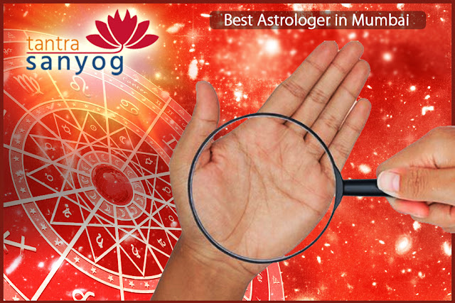 best astrologer in Mumbai