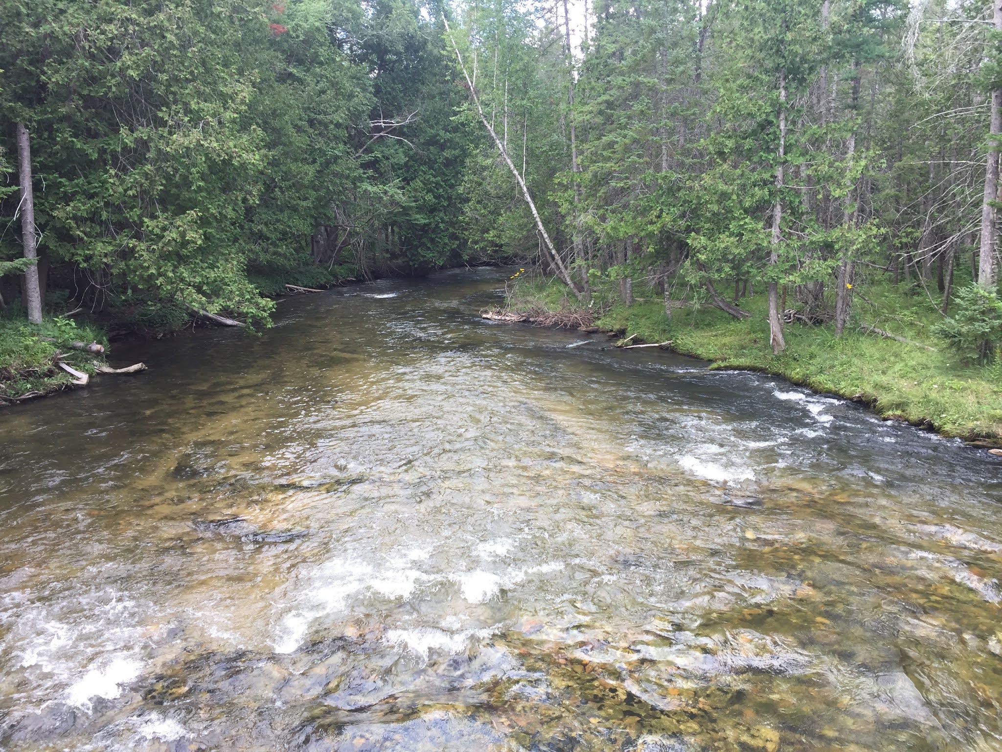 Travel Reviews & Information Mancelona and East Jordan, Michigan