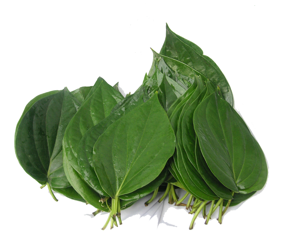 SURPRISING HEALTH BENEFITS OF BITTER LEAF Tozali Online
