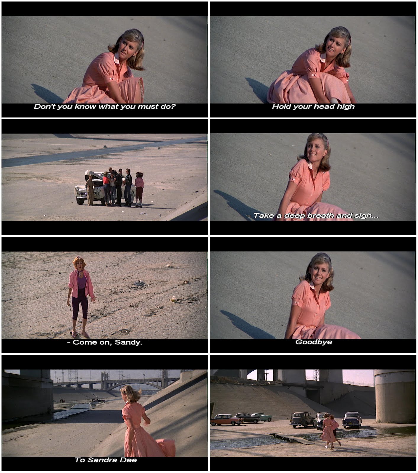 + Moustache + { goodbye to sandra dee }