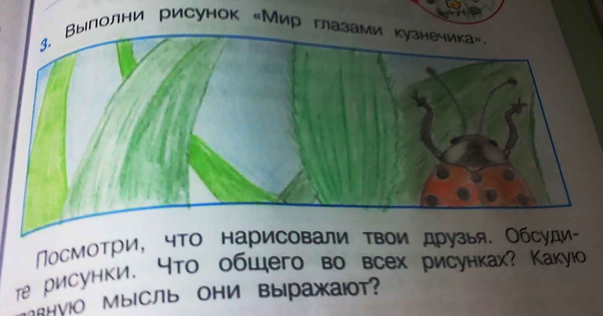 Окружающий мир задания для 2ого класса