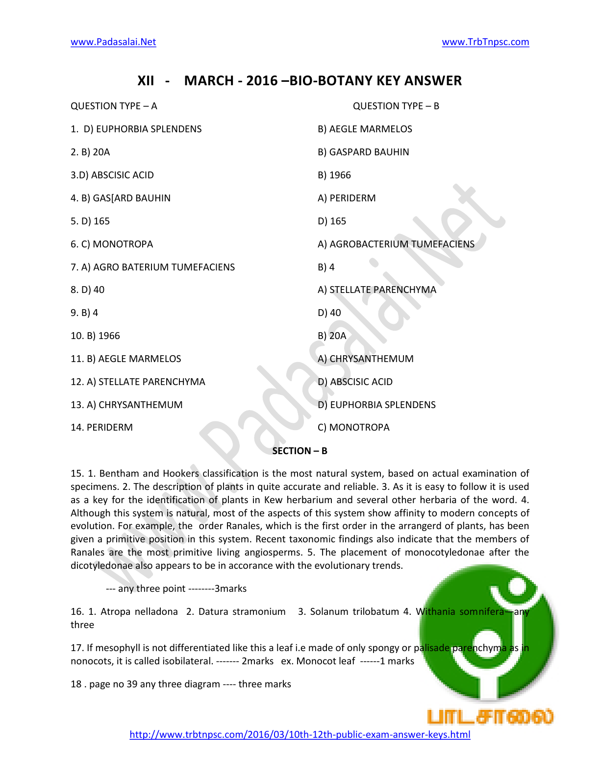 download near soliton evolution