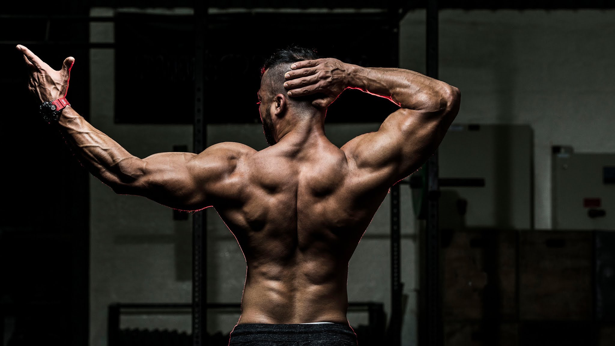 Tips On How To Build Lower Back Muscles.