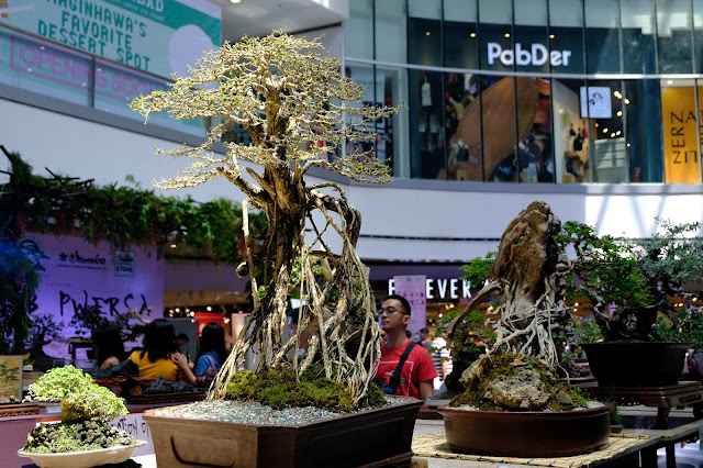 blue bell bonsai