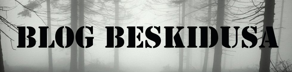 Blog Beskidusa