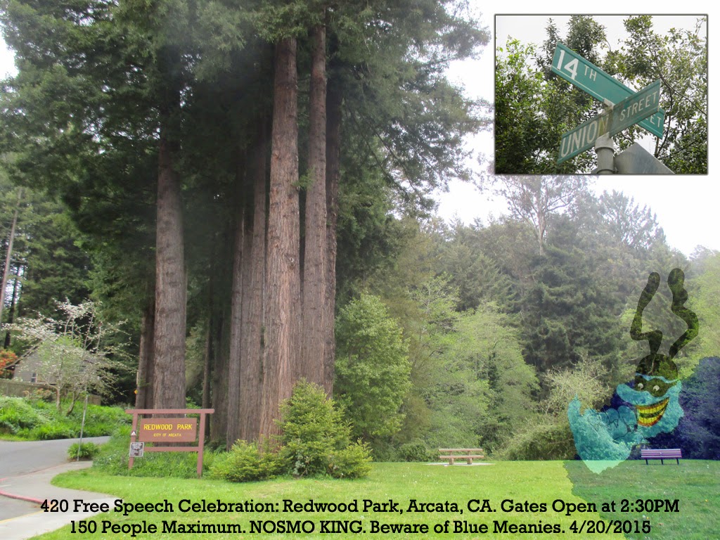 Redwood Park near Arcata, CA