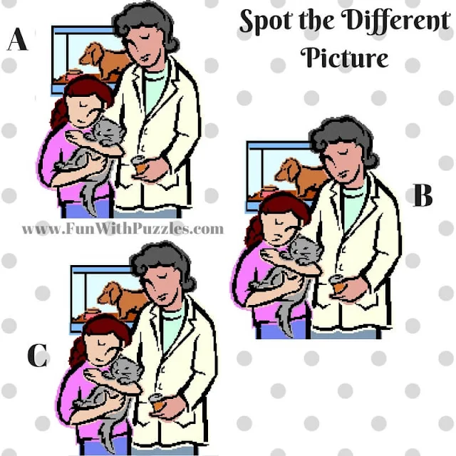 Spot The Different Picture Puzzles-Pet Doctor