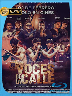 Voces de la Calle (2017) HD [1080p] Latino [GoogleDrive] SXGO