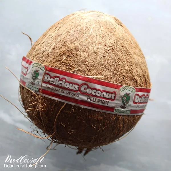 Coconut to turn into jewelry
