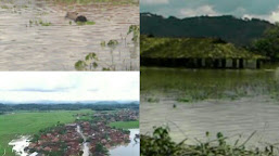 Ratusan Rumah Di Pekon Sidoharjo, Pringsewu Terendam Banjir, Akibat Jebolnya Tanggul Aliran Sungai Way Tebu