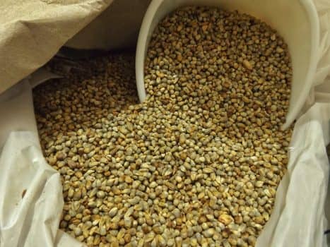 почем просо. просо семена. корм просо 300г кеша россия. пшено дранец. 4840 корм "просо" 300г " кеша 1/50.