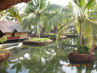 coconut trees at cochin resort