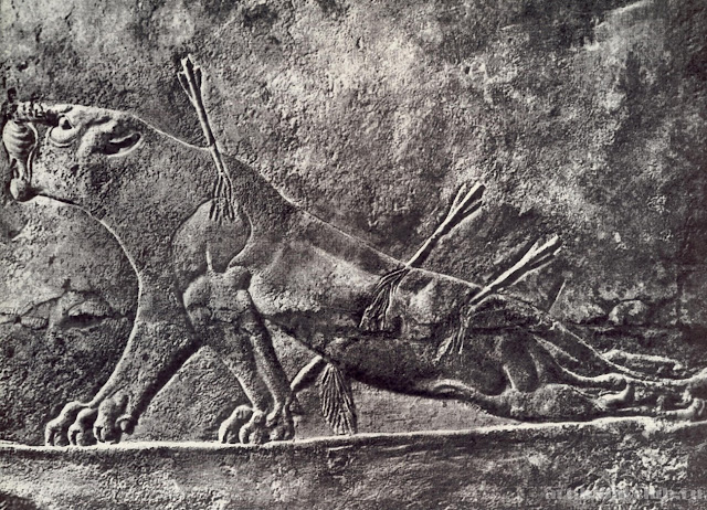Фрагмент рельефа «Большая львиная охота» Рельеф из дворца Ашшурбанапала в Ниневии с изображением умирающей львицы. 