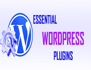 Essential WordPress Plugins You Should Install
