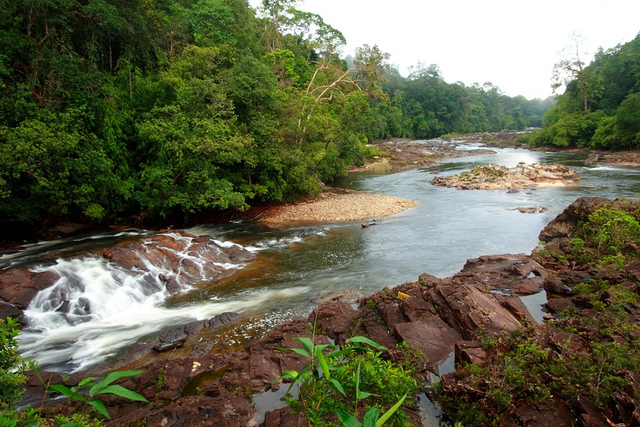 Interesting Places In Malaysia: Endau- Rompin State Park|Interesting ...