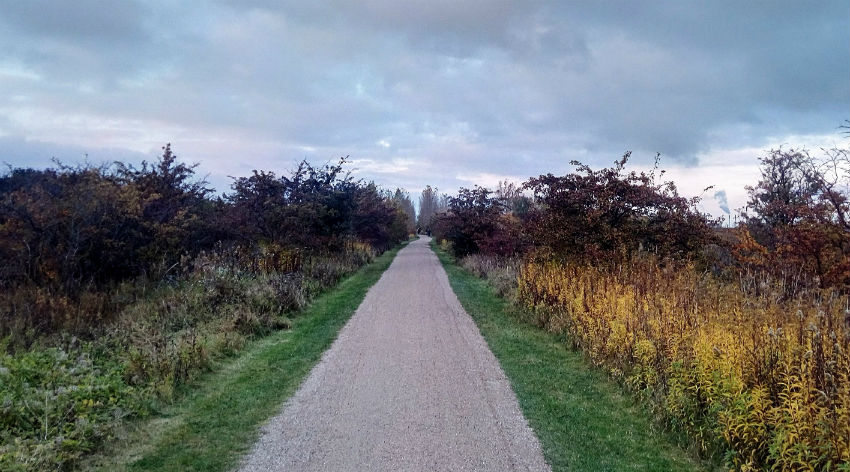 copenhagen walk meet social worker