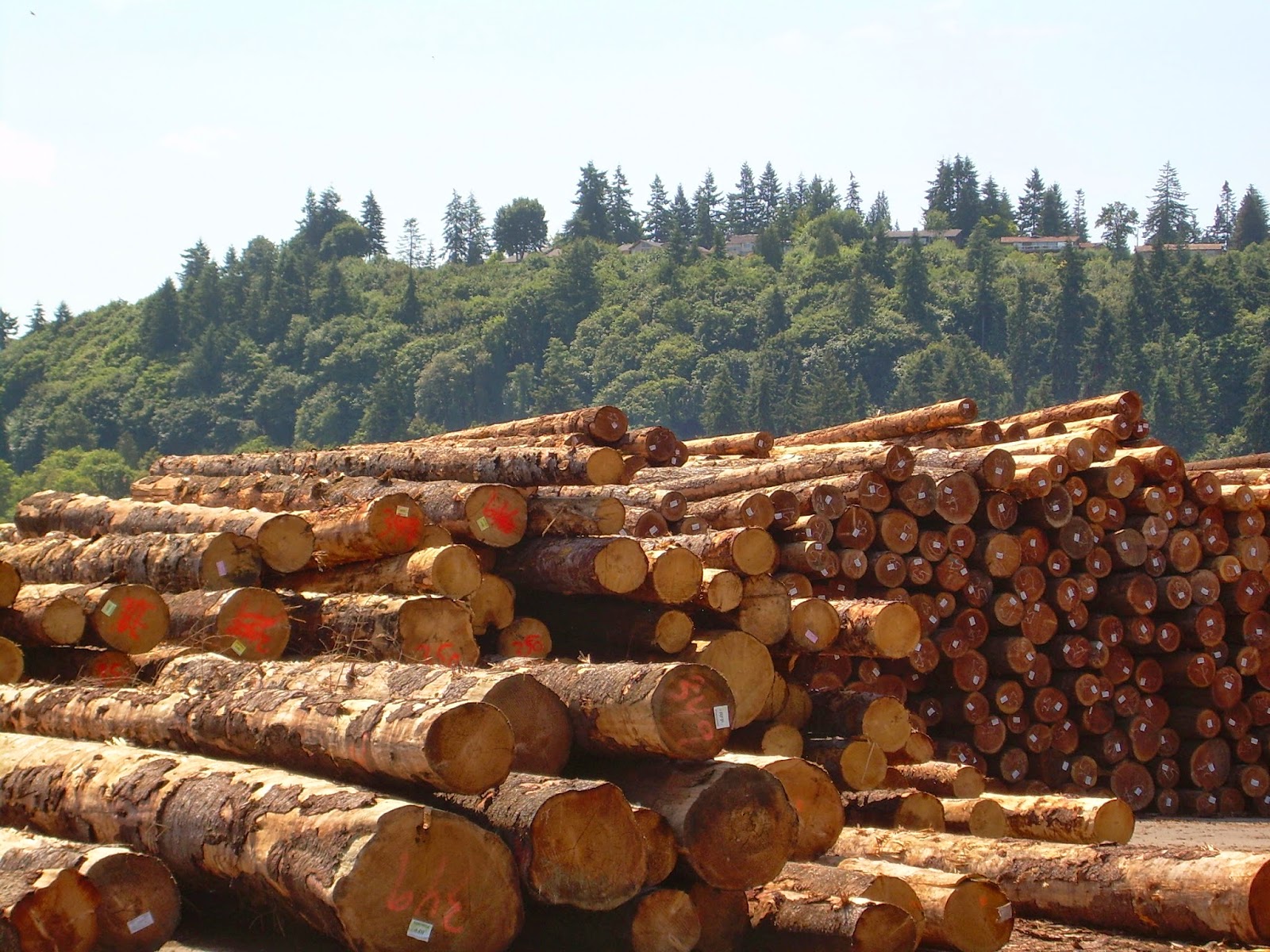 The Turning of the Tides Universe District 7