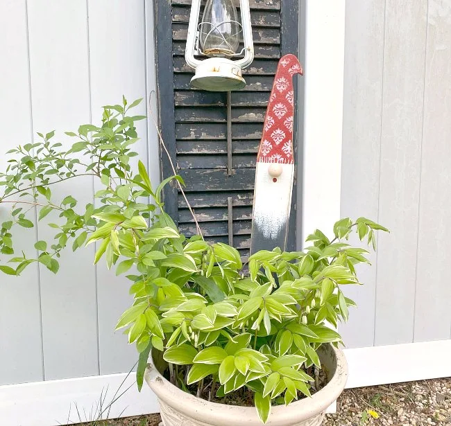 Garden gnome in a planter