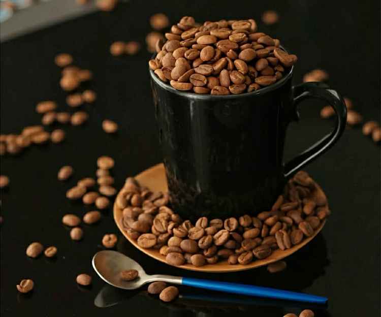 Drinking a Cup of Coffee a Day Can Help You Lose Weight