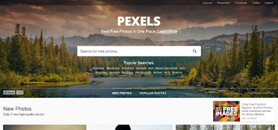 Situs Penyedia Gambar Gratis Pexels