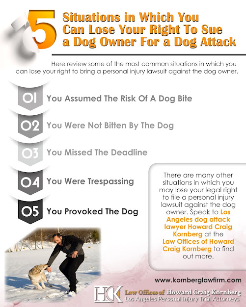 How to Use Distracted Driving As Evidence to Build Your Car Accident Case