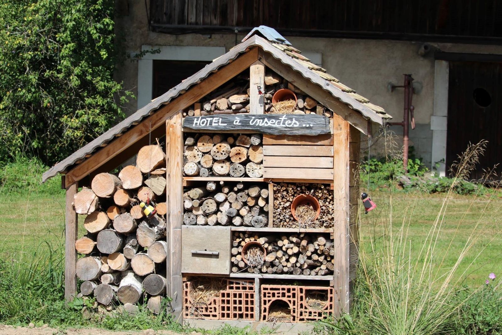 Hôtel à insectes : quels intérêts ?